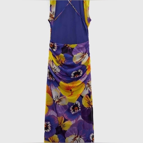 Sale Zara Open Back Print Tulle Dress - Picture 5 of 5